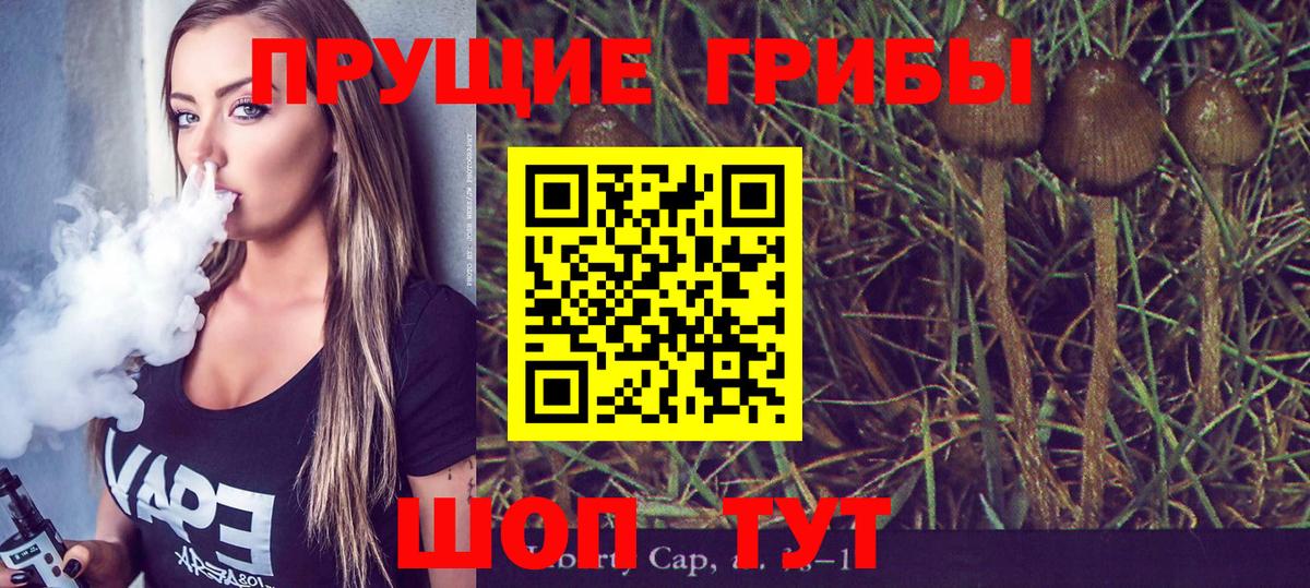 Псилоцибиновые грибы MAGIC MUSHROOMS  Вход с VPN  Североморск  Псилоцибиновые грибы GOLDEN TEACHER 