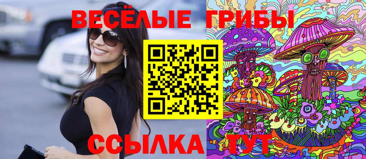 Псилоцибиновые грибы мухоморы Североморск